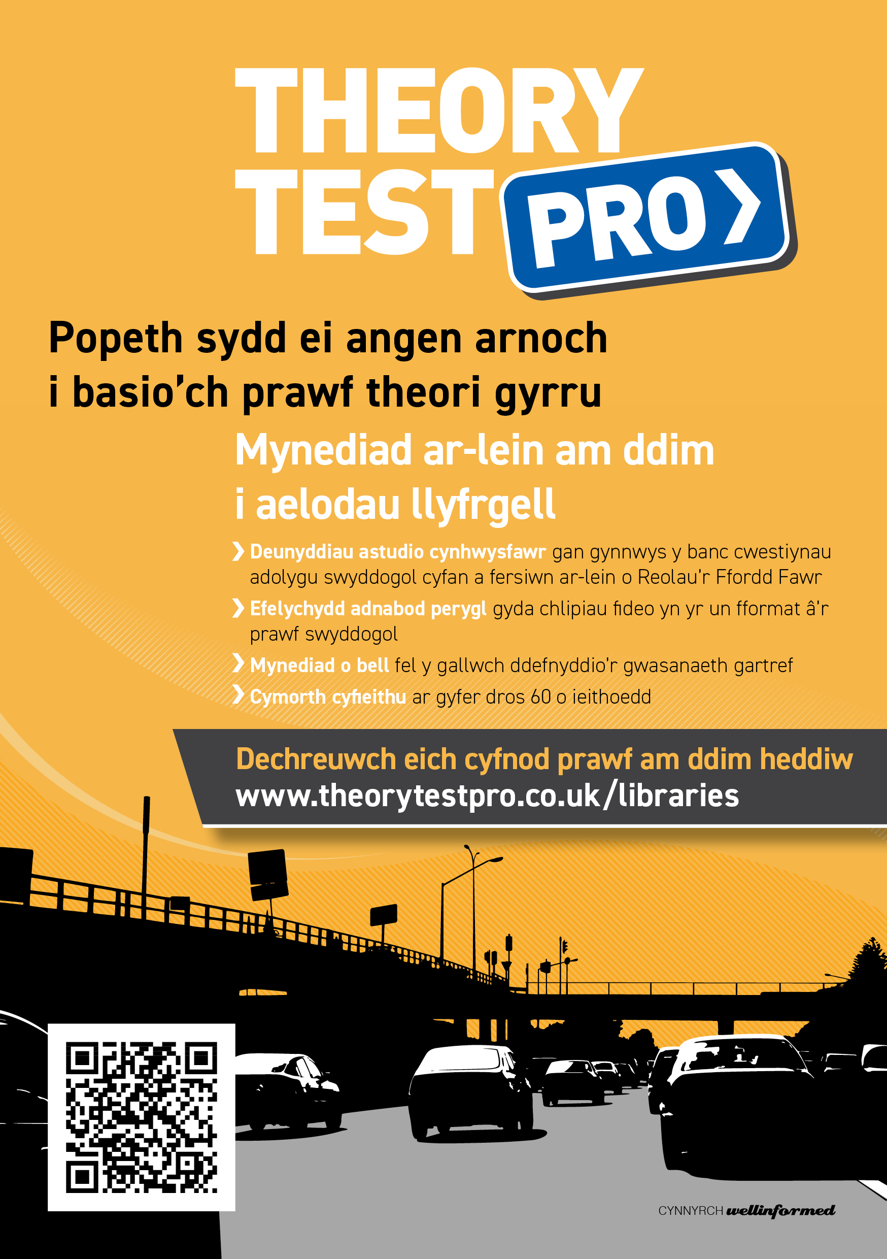 Theory Test Pro