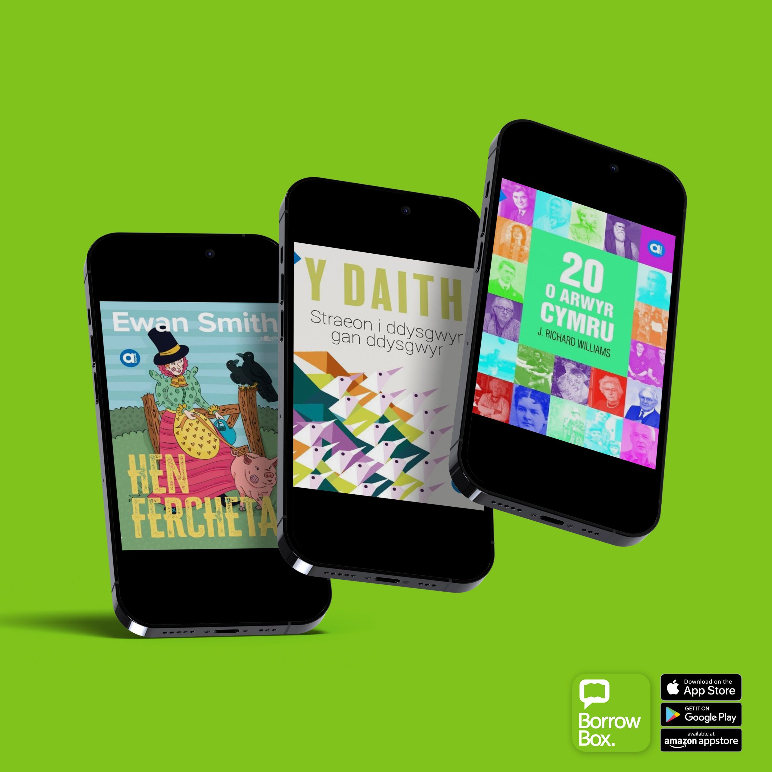 Amdani series on Borrowbox